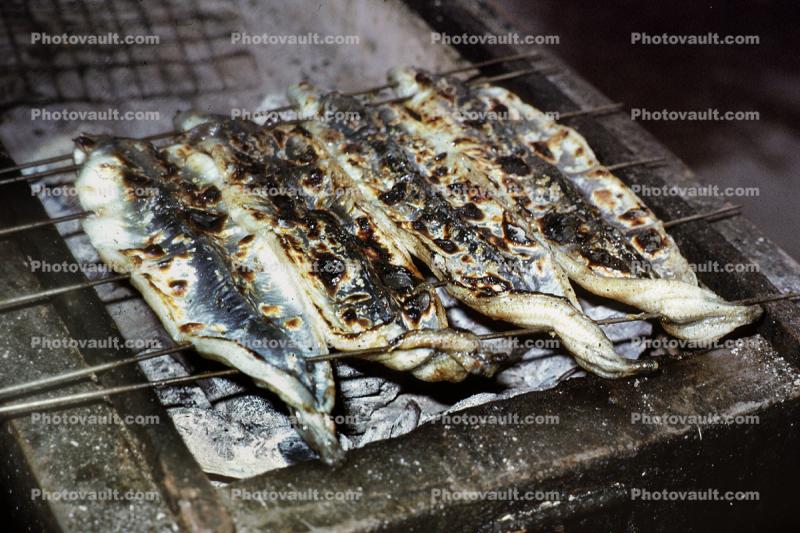 Fish on the Grill, bbq
