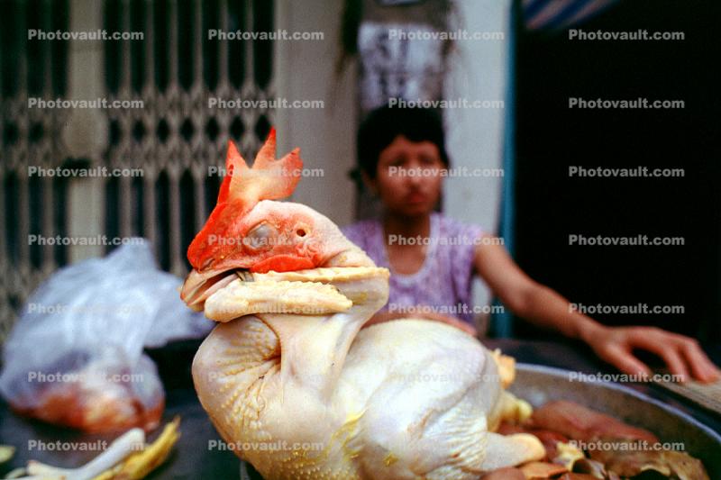 Woman, Poultry, Chicken, Legs, Meat