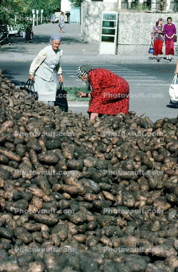 Women, Potato, Samarkand, Uzbekistan