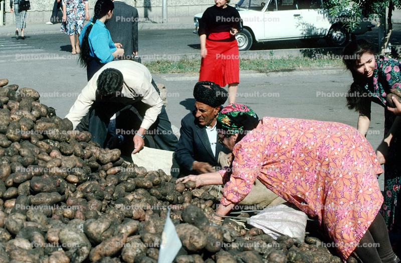Women, Potato, Men, Samarkand, Uzbekistan