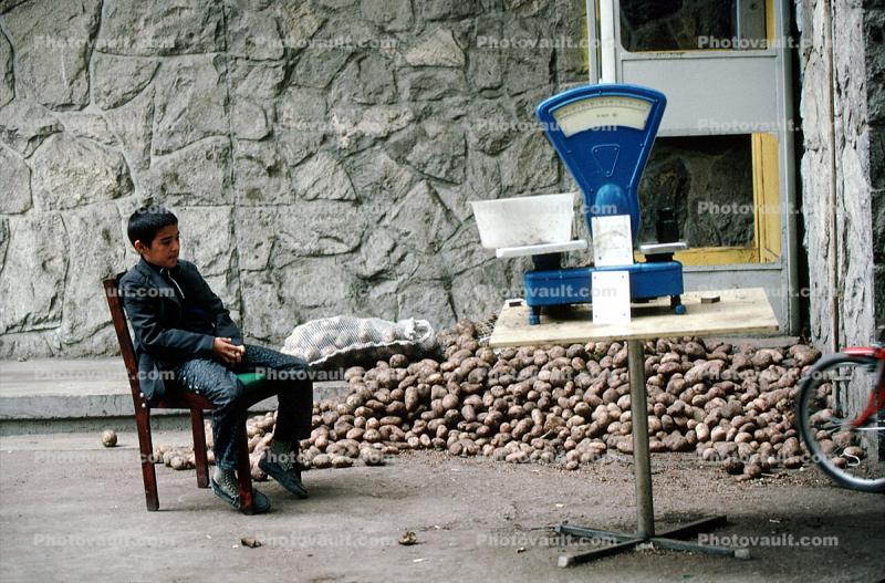 Boy, Scales, Table, Chair, Sitting, Samarkand, Uzbekistan