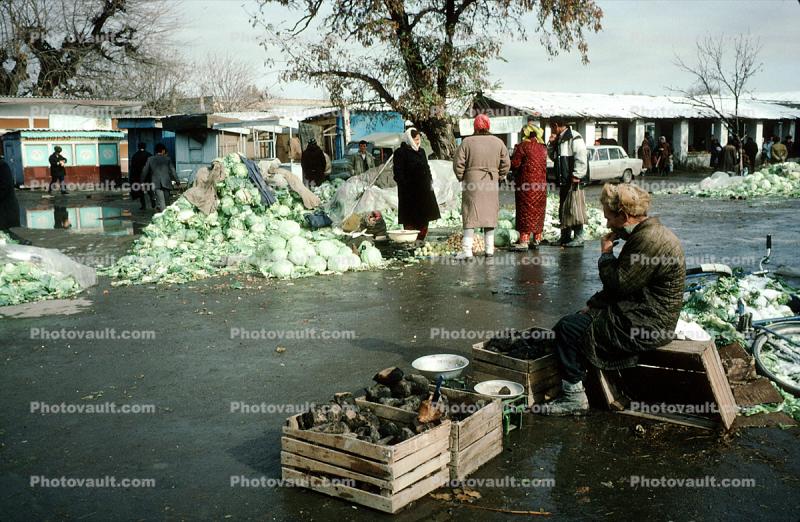 Man, Male, Cold, Vegetables, Cabbage, Samarkand, Uzbekistan