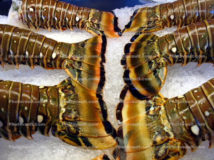 Lobster Tails