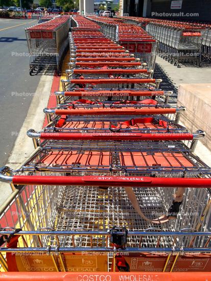 Grocery Shopping Carts