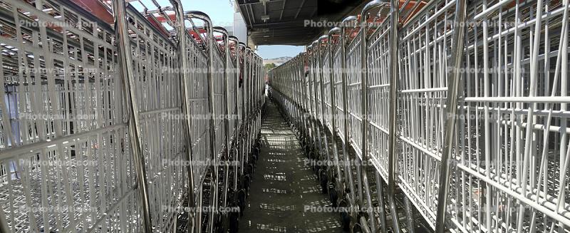 Grocery Shopping Carts