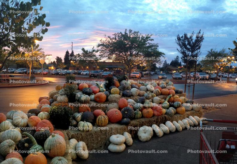 Pumpkin Display, cars, evening, sunset
