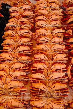 Rango Alaska Crabs, Farmers Market, steamed, seafood, shellfish