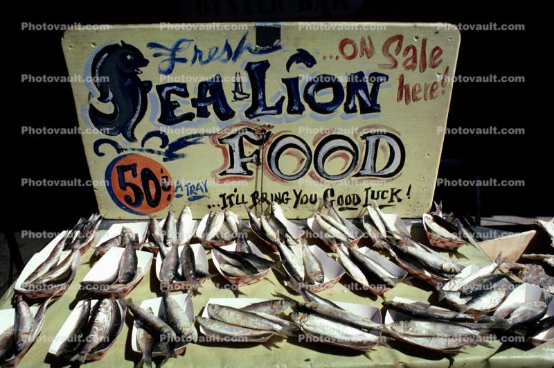 Sea Lion Food, fish