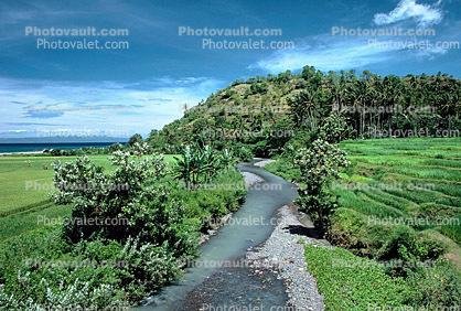 River, Island of Bali