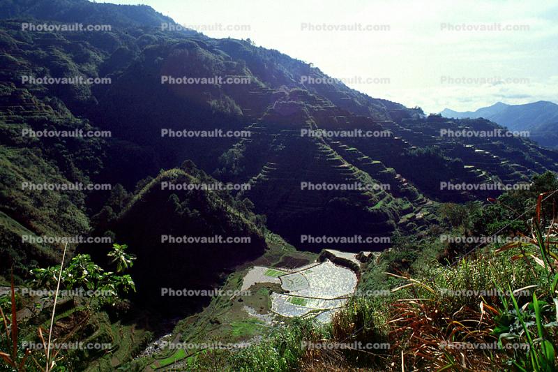 Rice Terraces in the Mountains, Hills