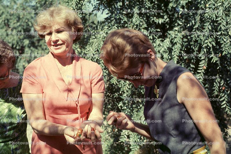 women, beehive hairdo, 1960s