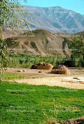 Afghanistan, Fields, Farming