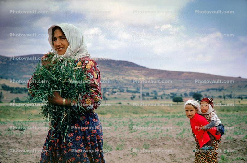Woman, Harvesting, Turkey