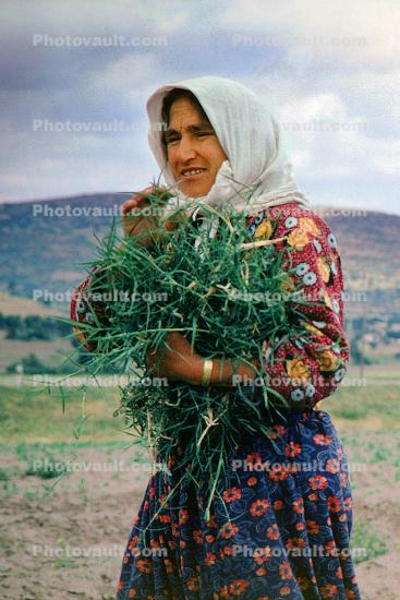 Woman, Harvesting, Turkey