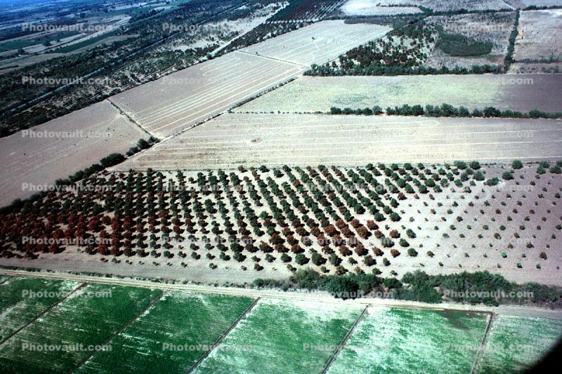 Fields, Mexico
