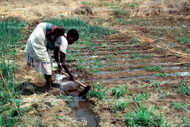 Cutting an irrigation ditch, Mother Farming with Child on her Back, near Tete, Mozambique