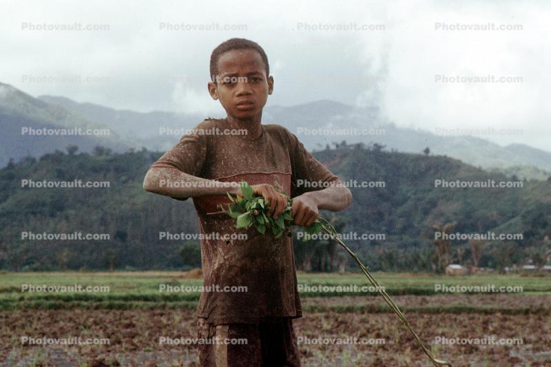 child labor, near Andrapa, Madagascar