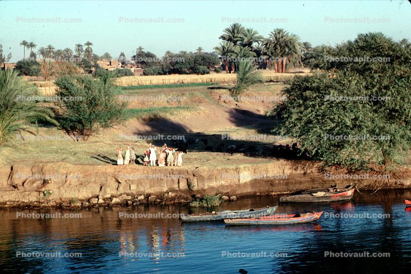 Nile River, people, riverbank, boats, tree, Egypt
