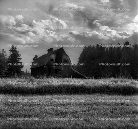 Barn, Hay, Snake River Ranch, clouds, trees