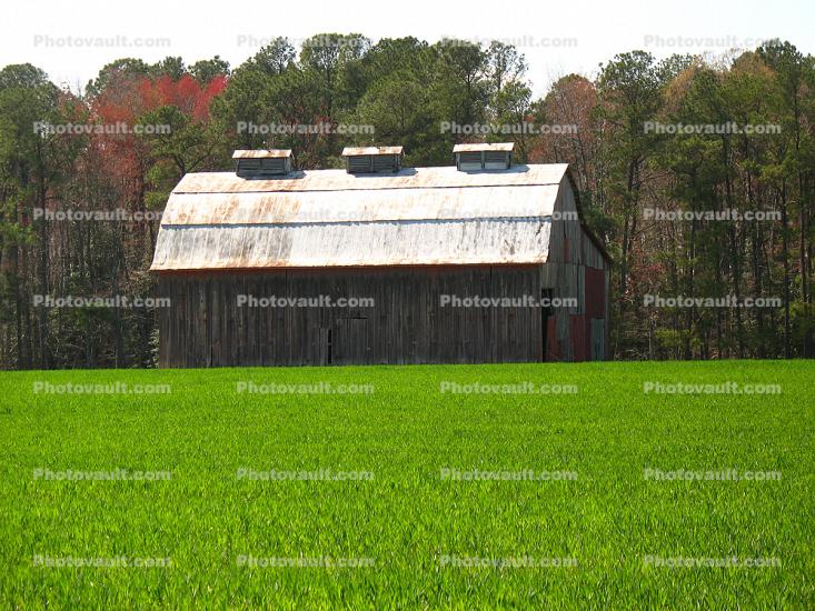 barn, Fields, southern Maryland