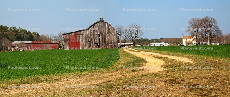 Barn, southern Maryland, Fields, Panorama
