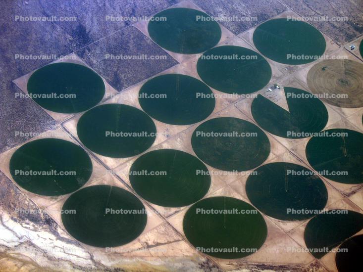Center Pivot Irrigation, Fields, Arizona
