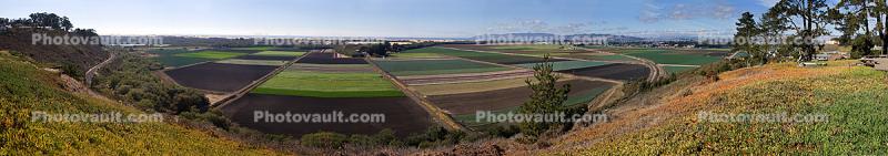 Fields, Arroyo Grande, Panorama