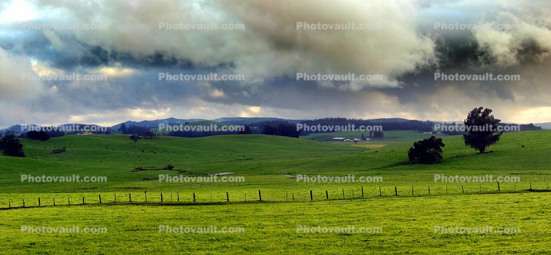 Fence, Fields, Grass, Clouds, Panorama