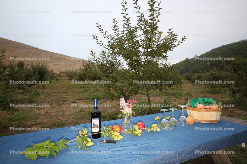 Picnic, Wine, Basket Table, Summer