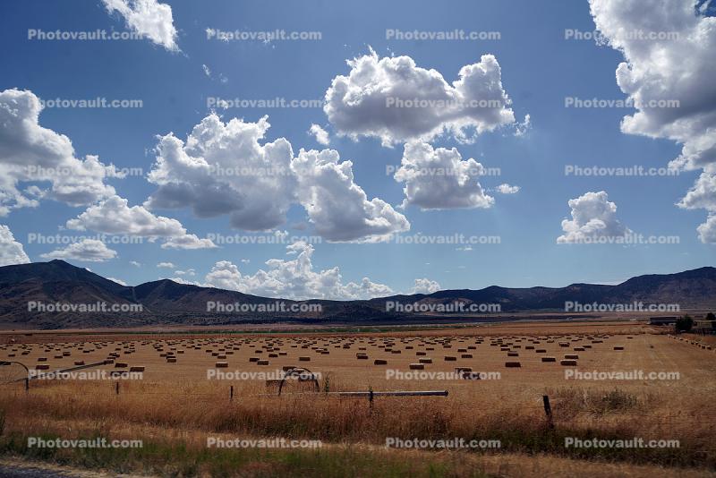Hay Bales, Cumulus Cluds, Pavant Range, near Scipio