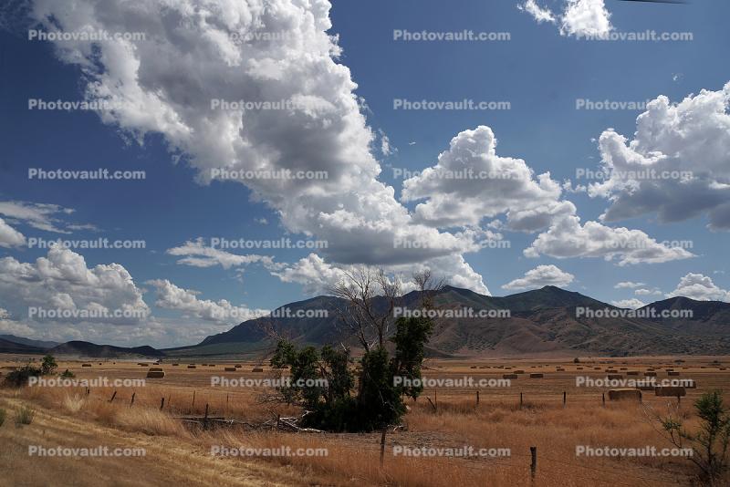 Hay Bales, Cumulus Cluds, Pavant Range, near Scipio