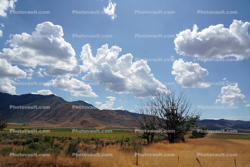 Cumulus Clouds, Pavant Mountain Range, near Scipio