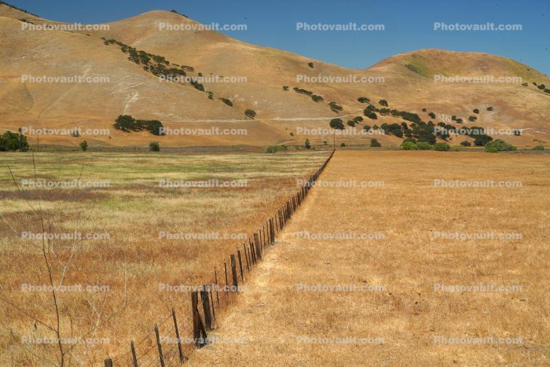 Fence in Bitterwater Valley California