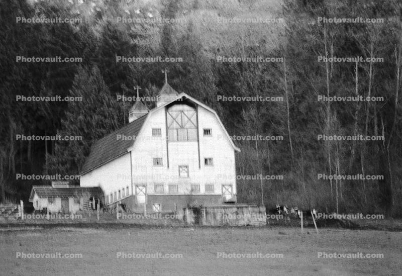 Barn, outdoors, outside, exterior, rural, building, architecture, forest, 1972