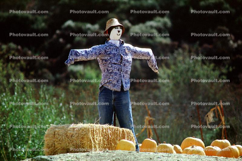 Scarecrow, Burklyn Burke, Vermont