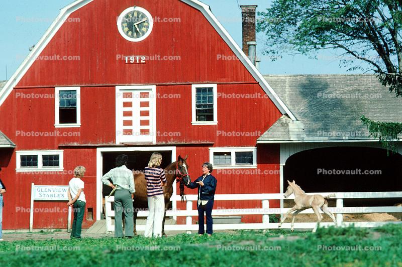 Horses, Colt, Barn 1872, House, Burklyn, Burke, Vermont