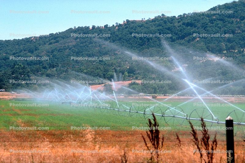 Irrigation, water, sprinkler