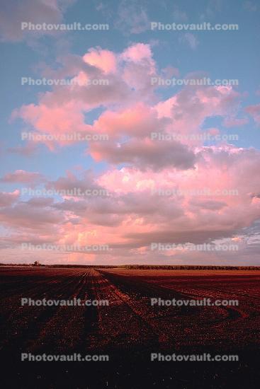Plowed Field, clouds