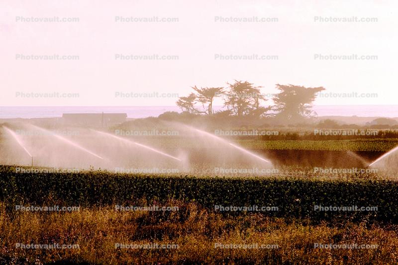 Water Irrigation, Sprinklers