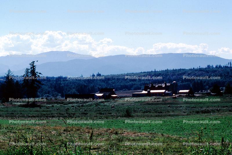 Barn and Silo, near Port Washington