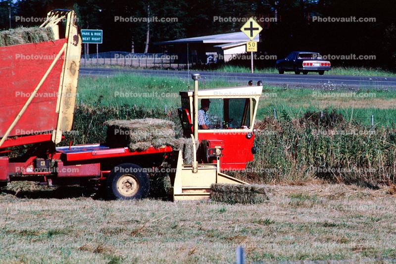 New Holland Buncher, Hay Bales, Whidbey Island