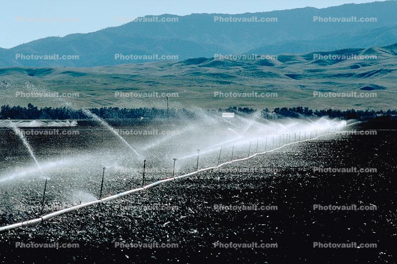 Irrigation, water, sprinkler, hills
