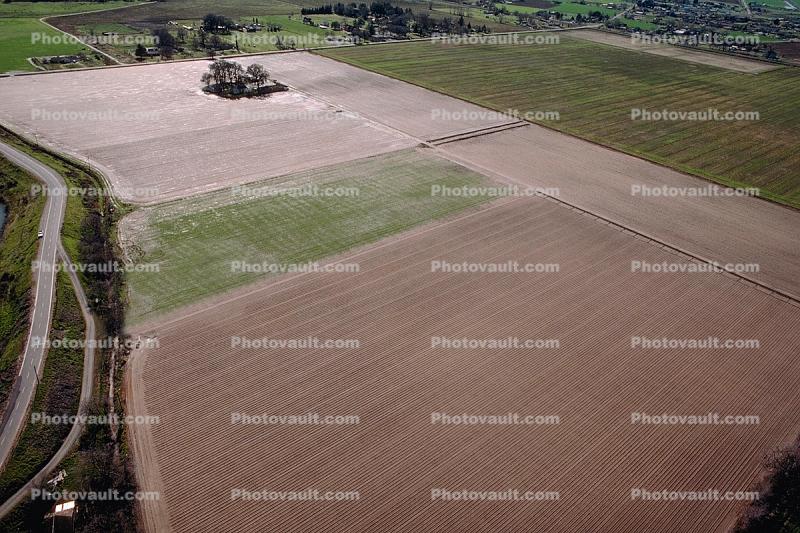 Farmlands west of Sacramento, Fields, Dirt, soil