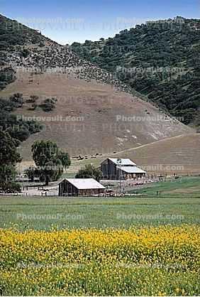 Barn, buildings, trees, Fields, Wind Mill, fences, hills, mountains, flowers