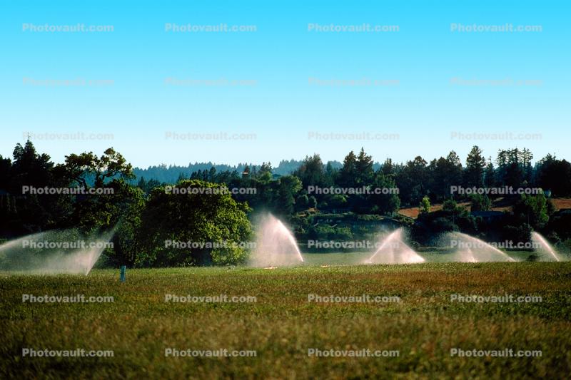 Sprinklers, irrigation, Fields