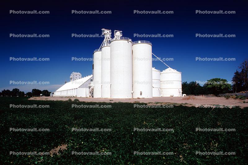 Grain Storage, Silo