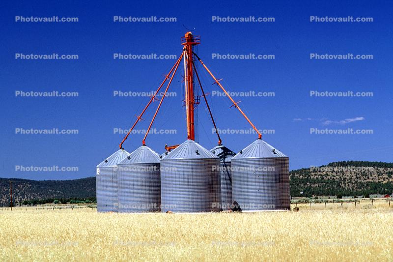 Silos, Wheat Fields, Dorris California