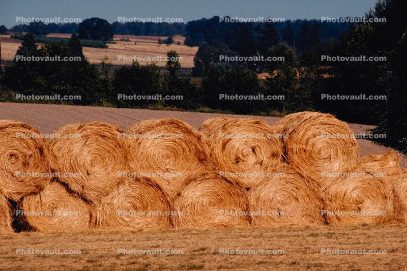 Rolled Hay Bales