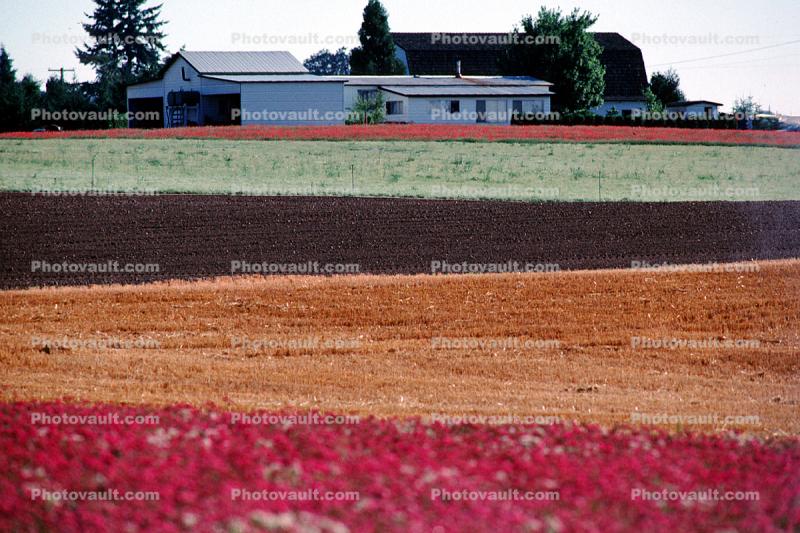 colorful fields, home, house, barn, building, Dirt, soil
