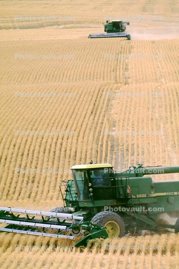 Harvesting Wheat with Mechanized Combines, John Deere Turbo 6622 Combine, farmfield, wheat field, golden amber waves of grain, swather, windrower